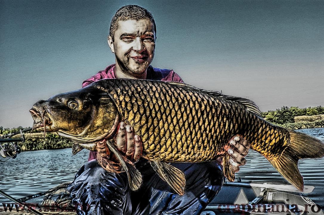 Debutmania - 2013 (2) - 1030537hdrmode2.JPG